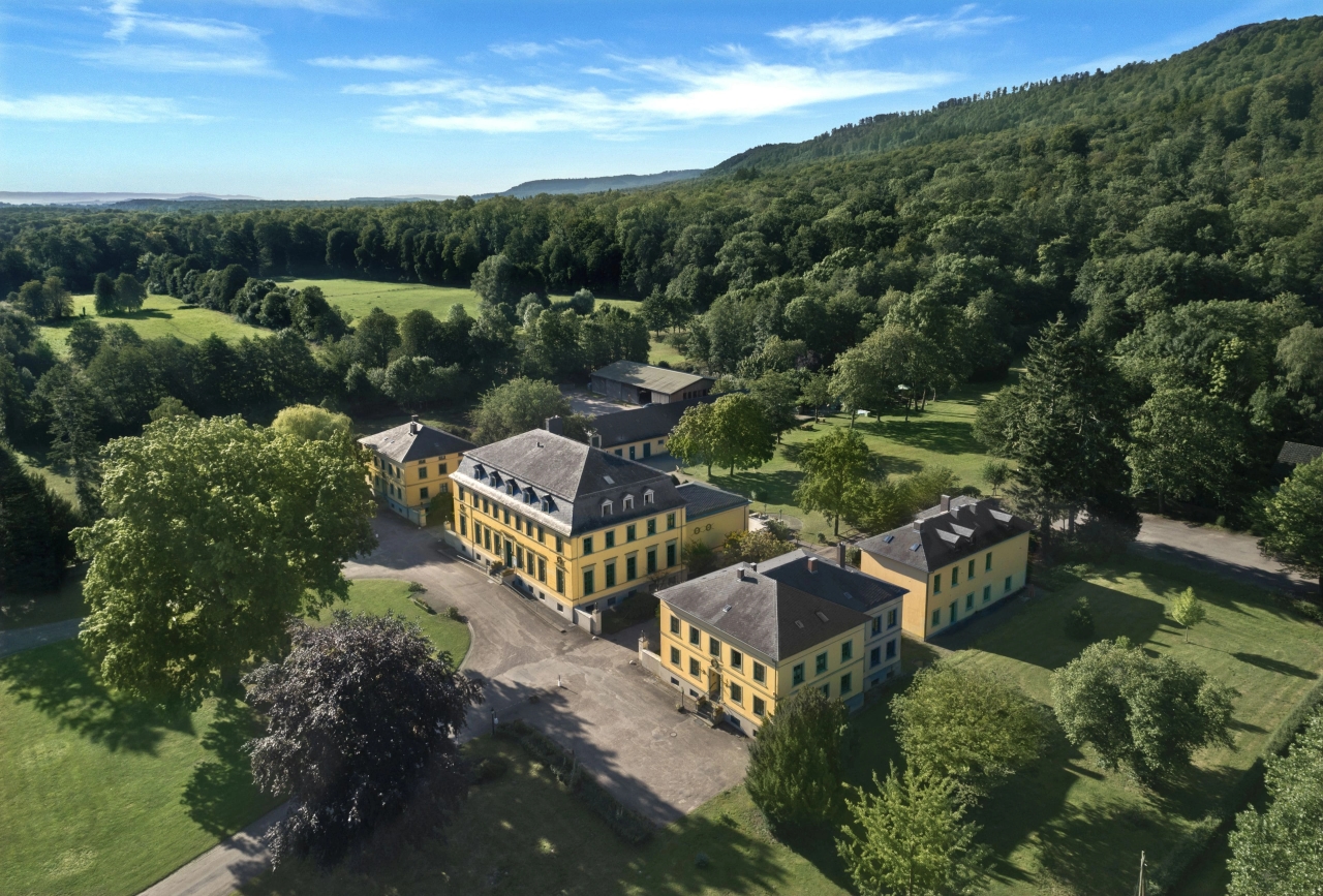 IT-Support in Springe